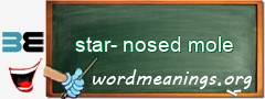 WordMeaning blackboard for star-nosed mole